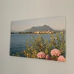 Apartment Rosada