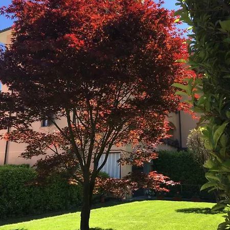 Apartment Rosada Stresa