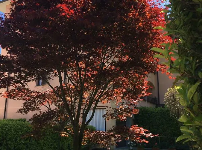 Lejlighed Rosada Stresa