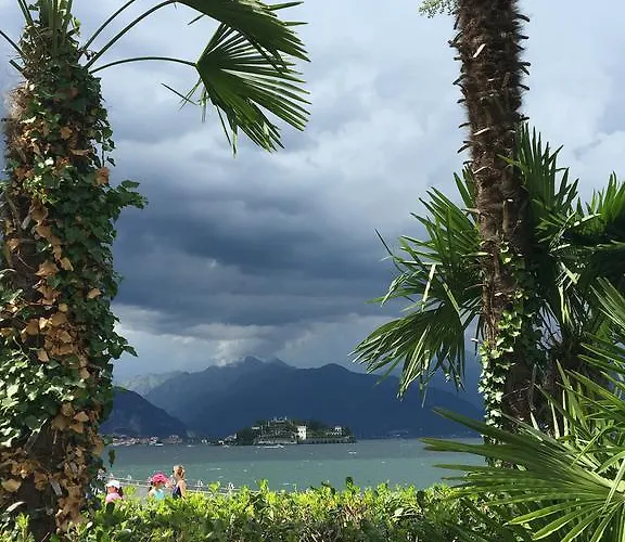 Rosada * ストレーザ