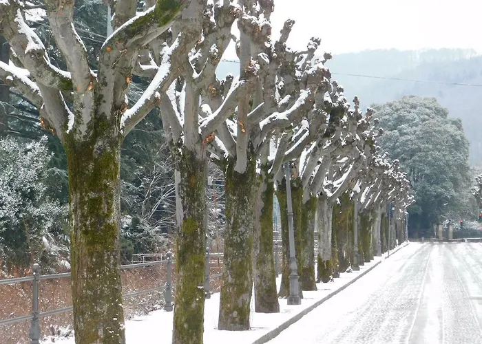Rosada ストレーザ